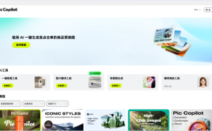 PiccoPilot - 阿里巴巴AI商品图-AI出海